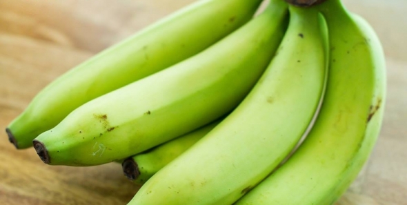 Biomassa de Banana Verde